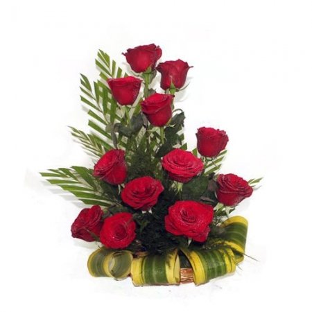 Lovely Red Roses...