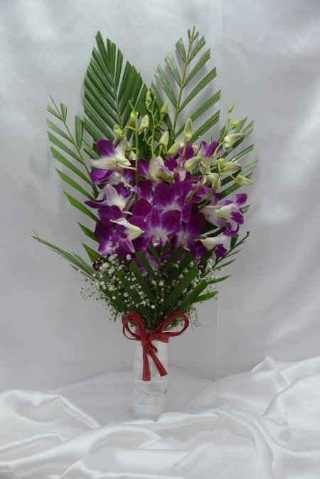 Green Purple...