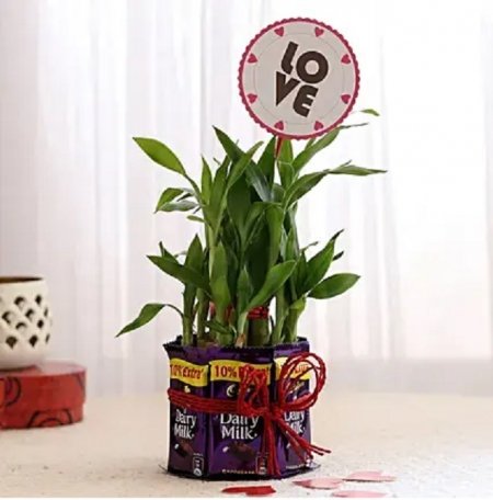 Bamboo with Love Tag &...