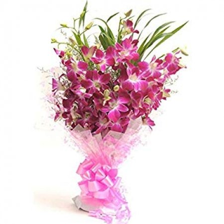 Splendid 6 Purple...