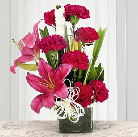 Serene Carnation